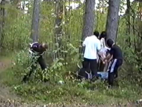 Porn forest rape Rape In